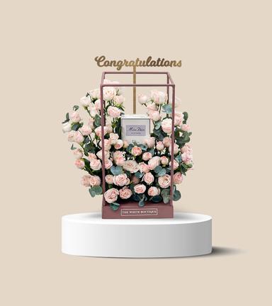 Congratulations Story Image